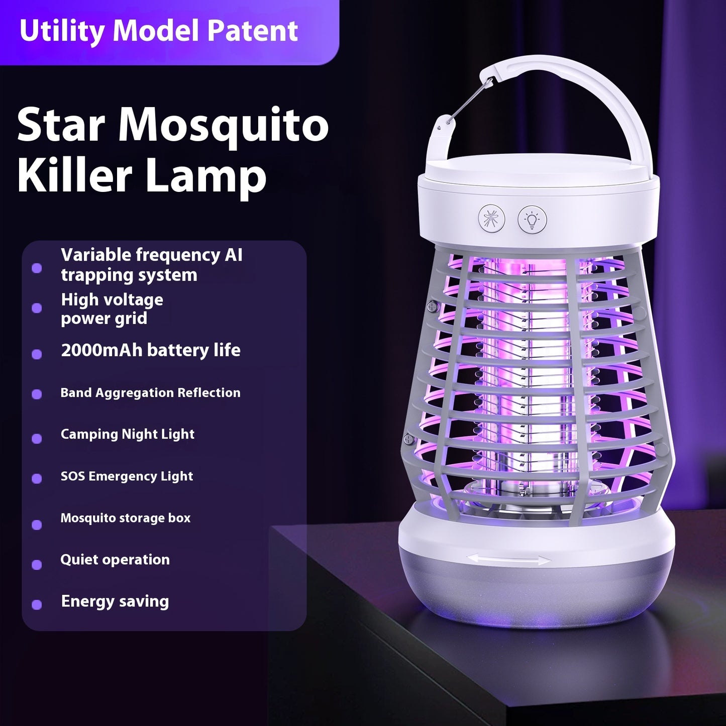 #FFFFFF